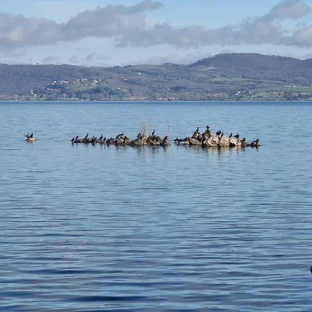 La Finestra Tra Le Stelle Apartment Anguillara Sabazia